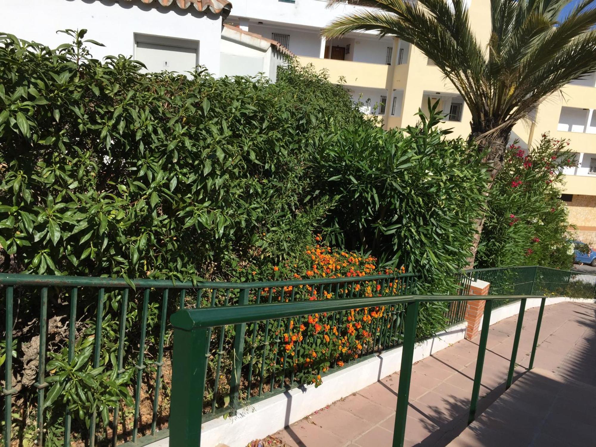 Stella Blanca 24B Apartment Fuengirola Luaran gambar